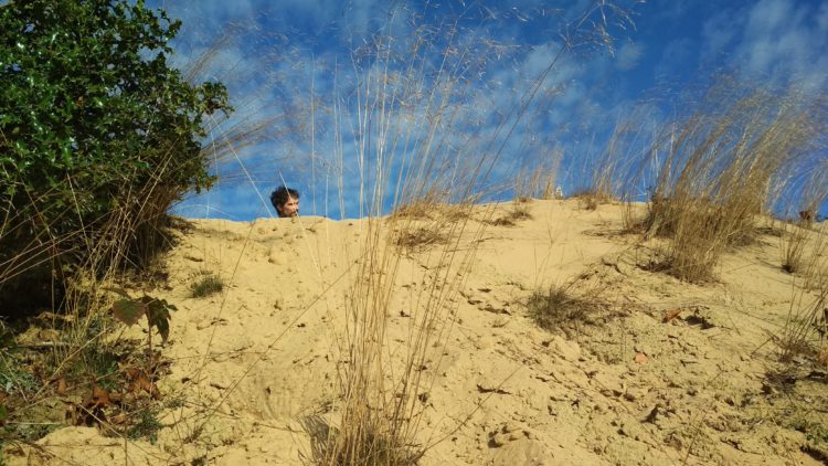humanlike co sand dunes